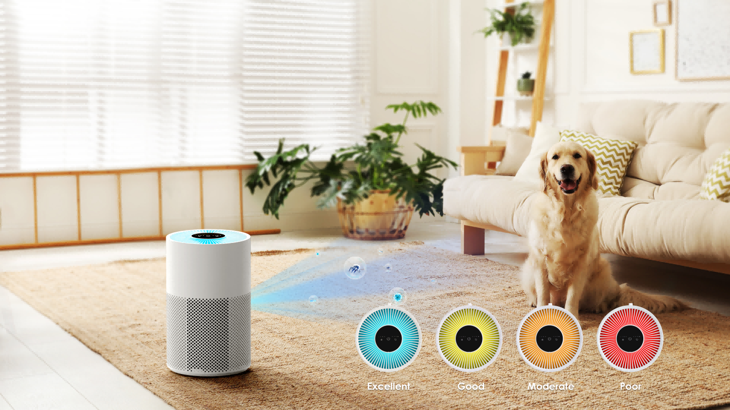 Purificador de aire - Fábrica de purificadores de aire inteligentes para oficinas, hogares y baños