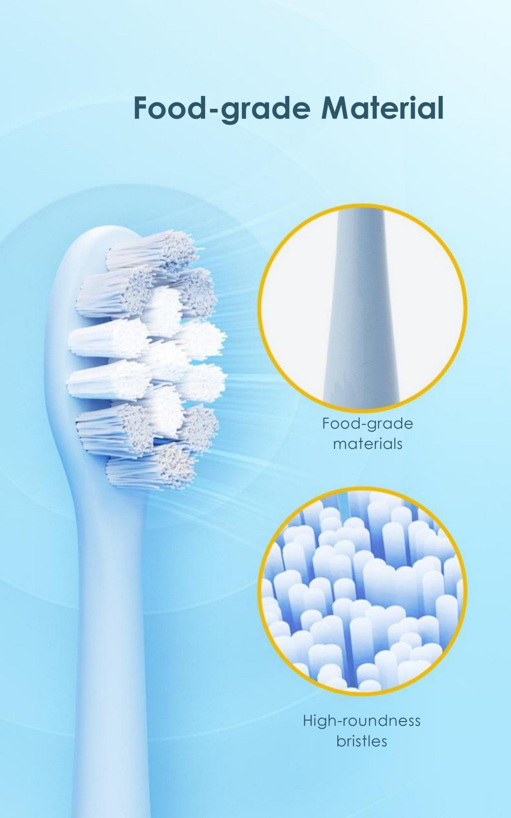 AP-TA31 Sonic Electric Toothbrush, 75-Day Battery, 31,200-36,000 VPM, for Sensitive Teeth