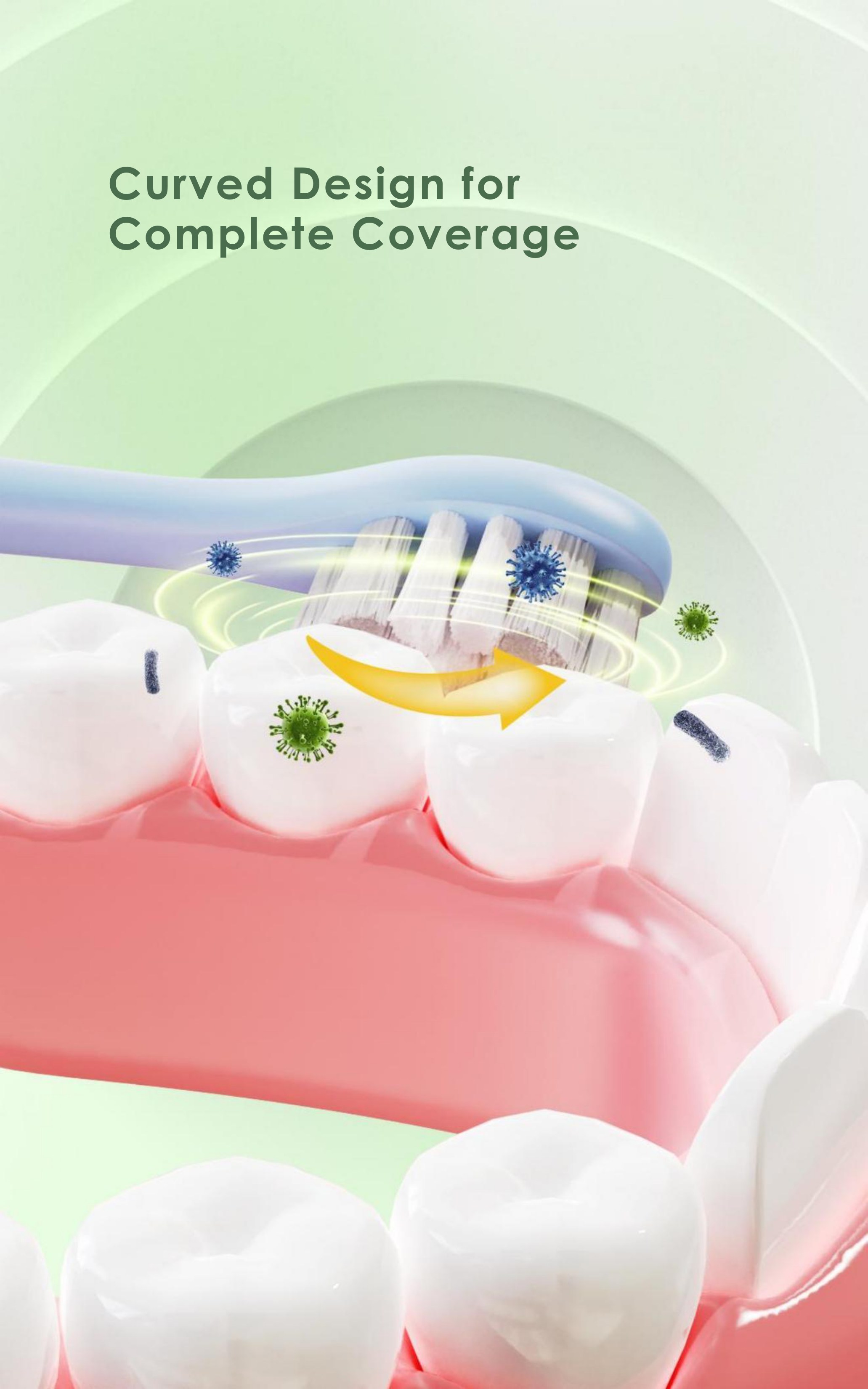 Comfresh Electric Toothbrush 3 Modes, 18,000 VPM, 52 Days Use