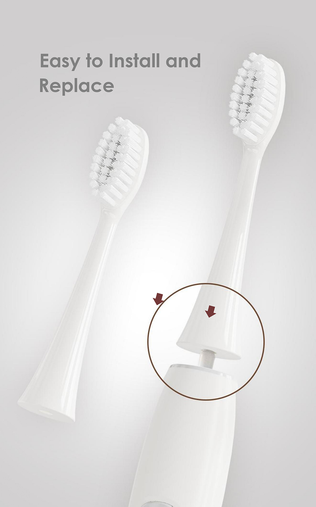 Electric Toothbrush Factory Ultrasonic Toothbrush  for Adults 36000VPM 3 Modes AP-TA13