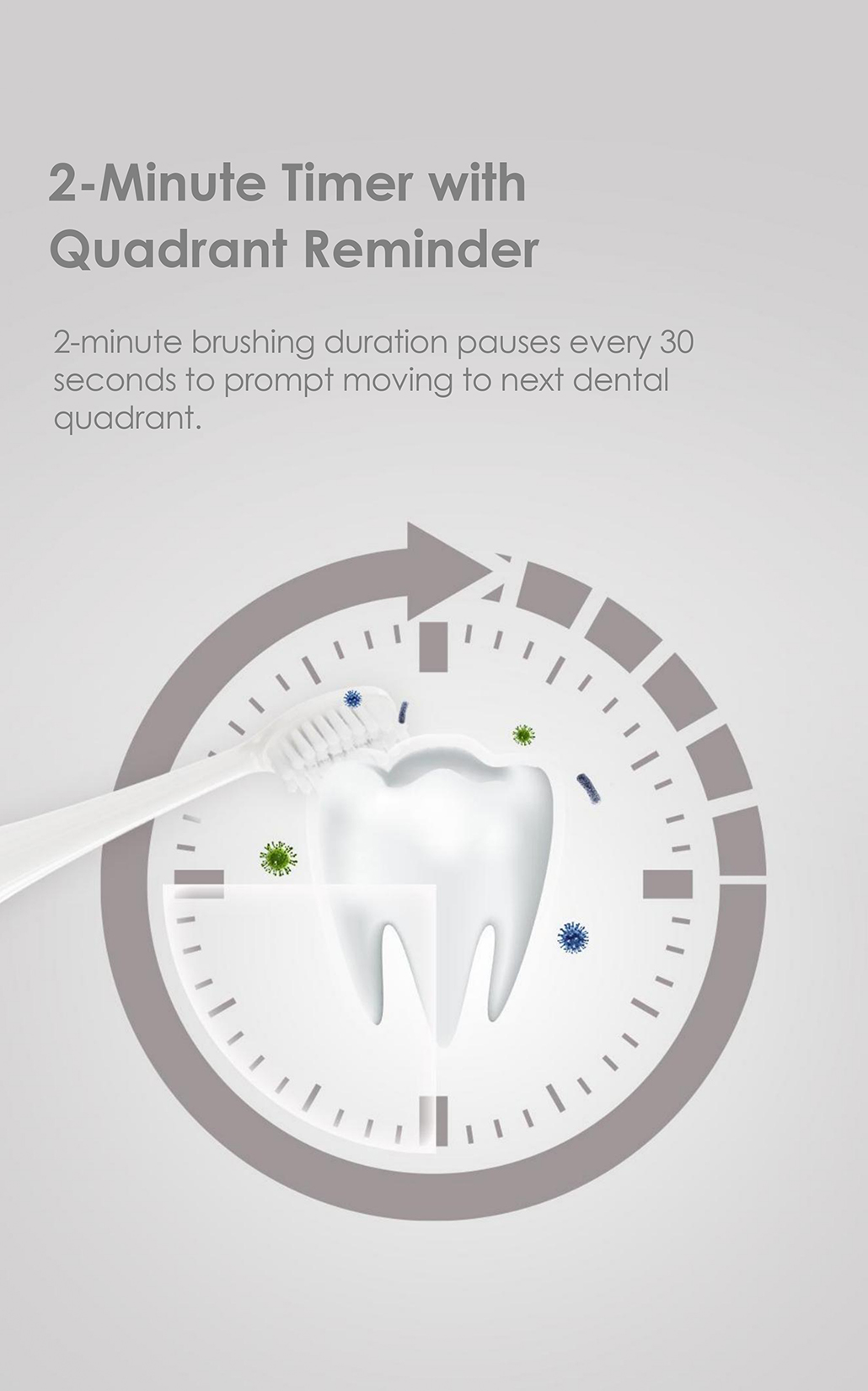 Electric Toothbrush Factory Ultrasonic Toothbrush for Adults 36000VPM 3 Modes AP-TA13