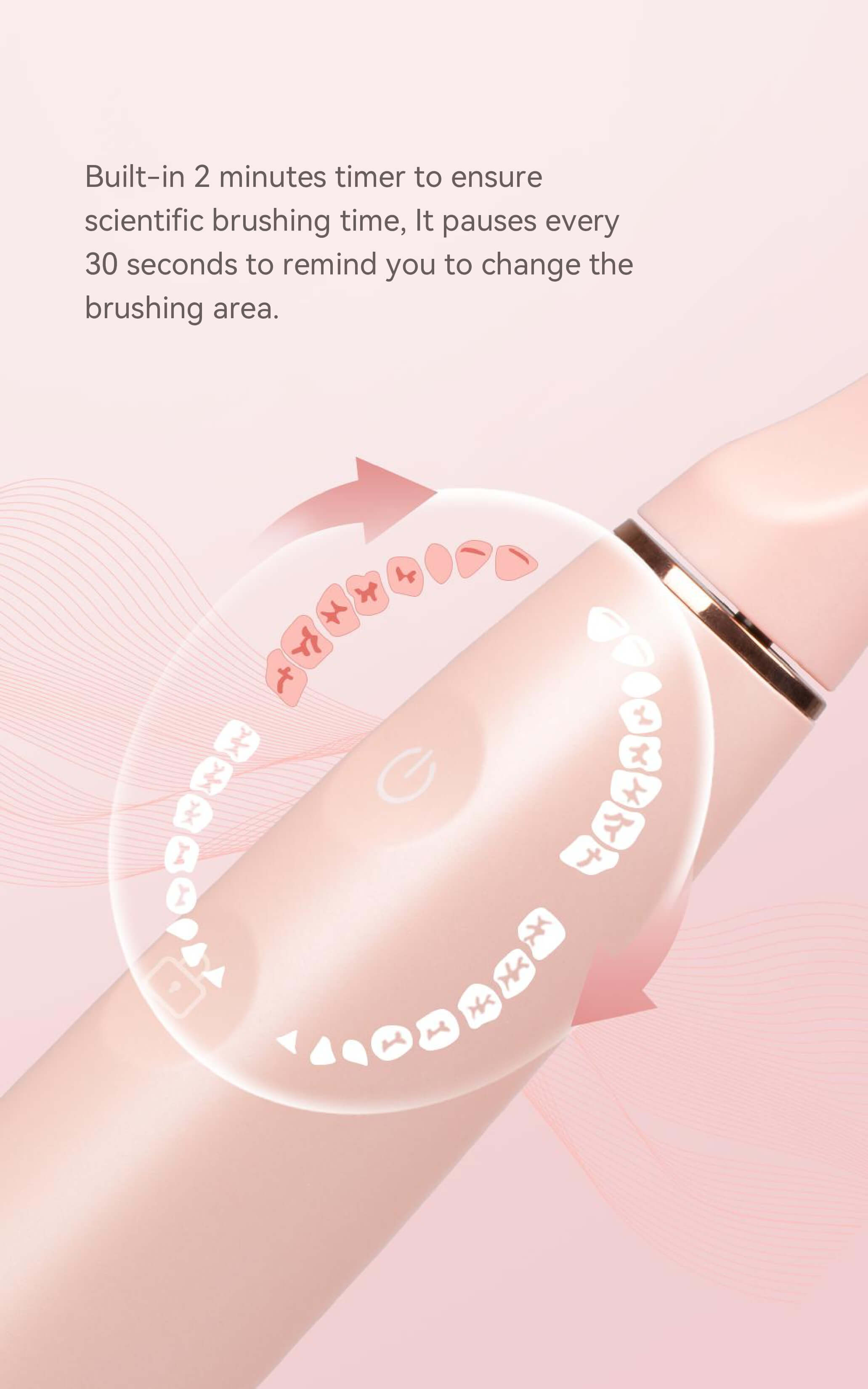 Electric Toothbrush Supplier Ultrasonic Toothbrush for Adults