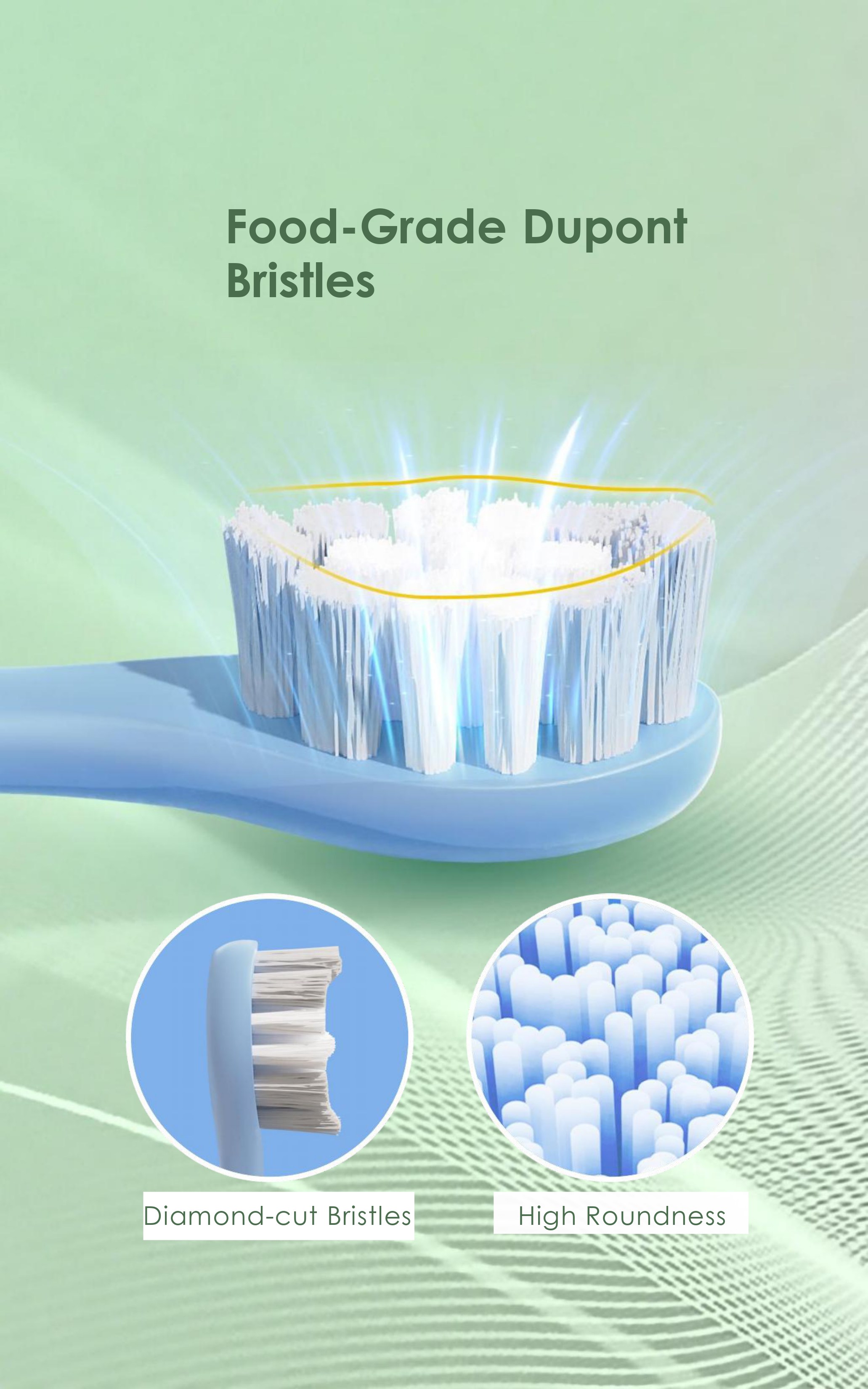 Electric Toothbrush for Adults, One-Button Control, 3 Brushing Modes