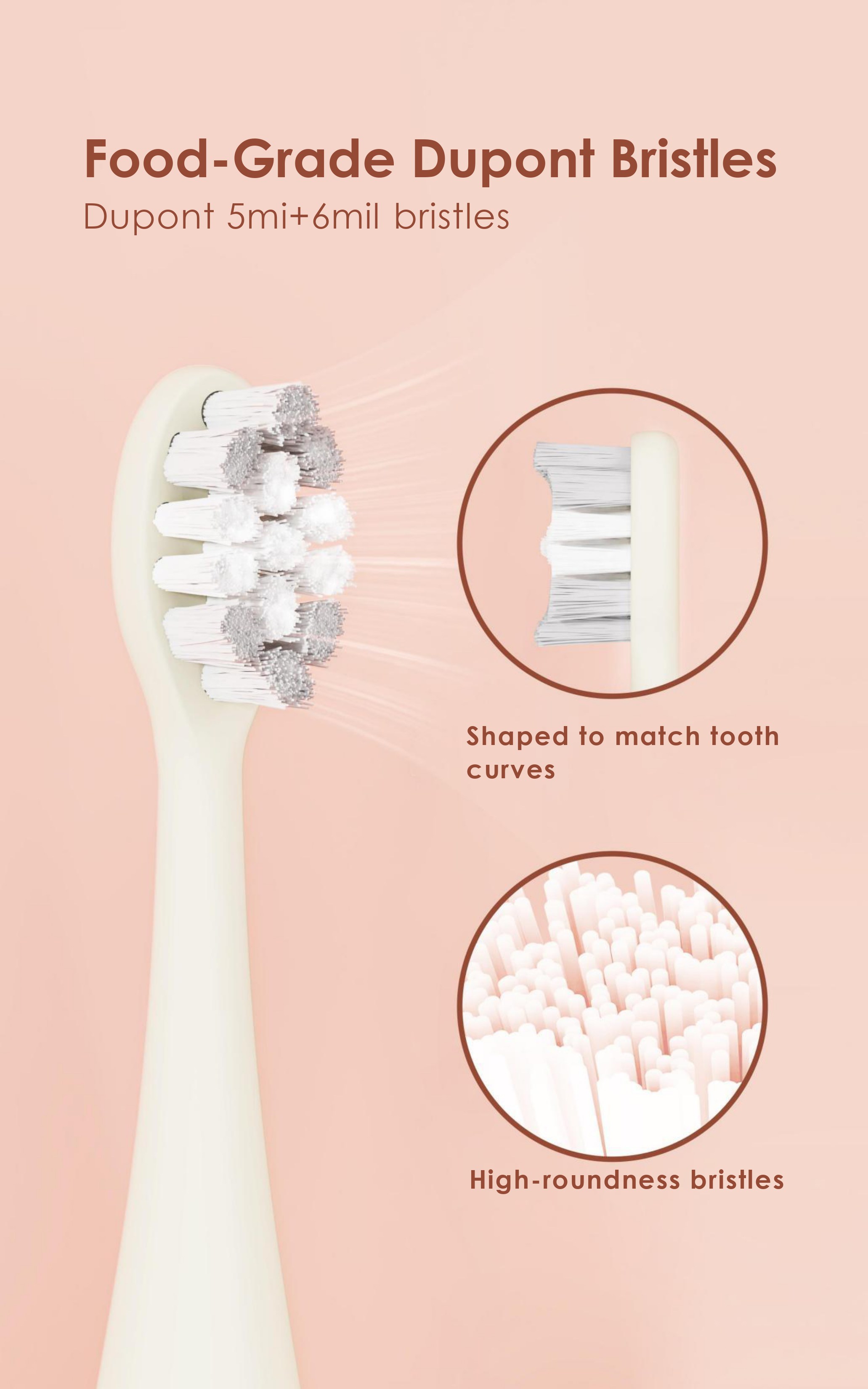 Sonic Toothbrush OEM Services, 3-Hour Fast Charge, 2 Modes, Perfect for Sensitive Mouths