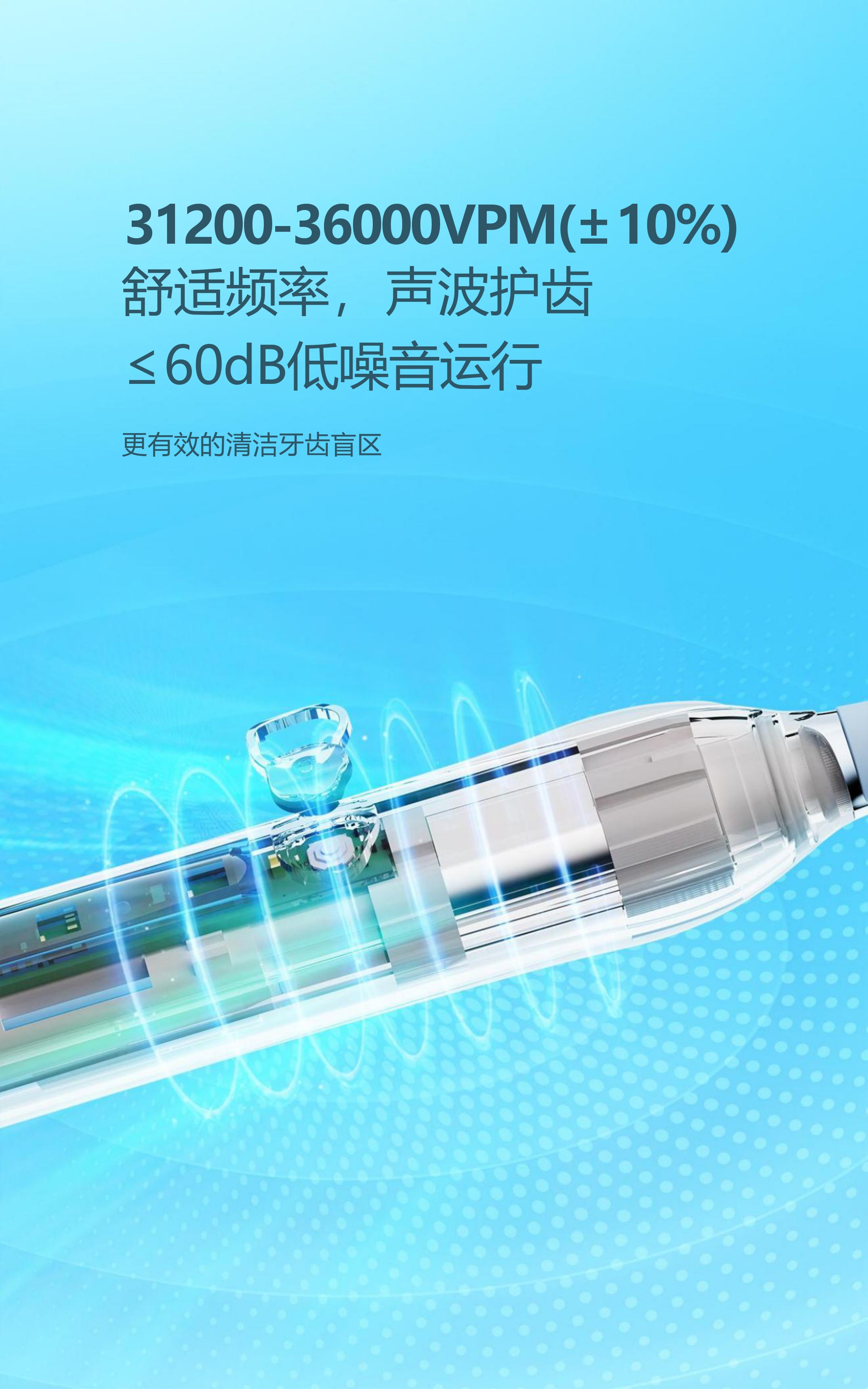 专业口腔护理牙刷，使用 75 天，美白模式，食品级杜邦刷毛