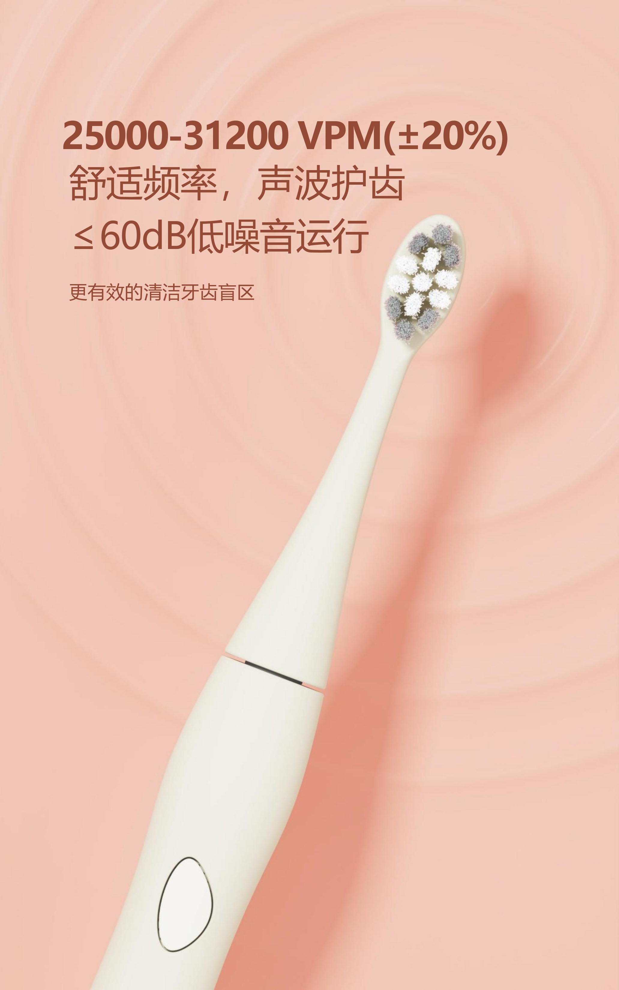 中国成人声波电动牙刷供应商，带 Type-C 充电 2 种模式 IPX7 防水