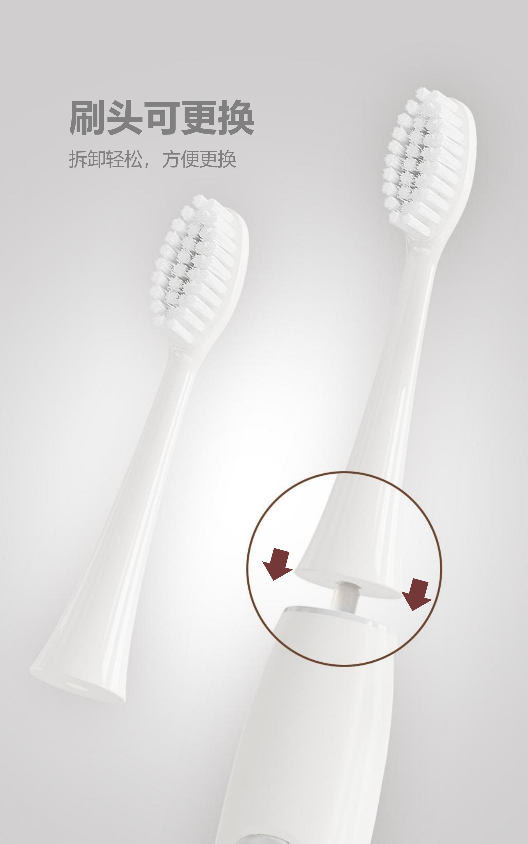 电动牙刷厂 成人超声波牙刷 36000次/分钟震频 3 模式 AP-TA13