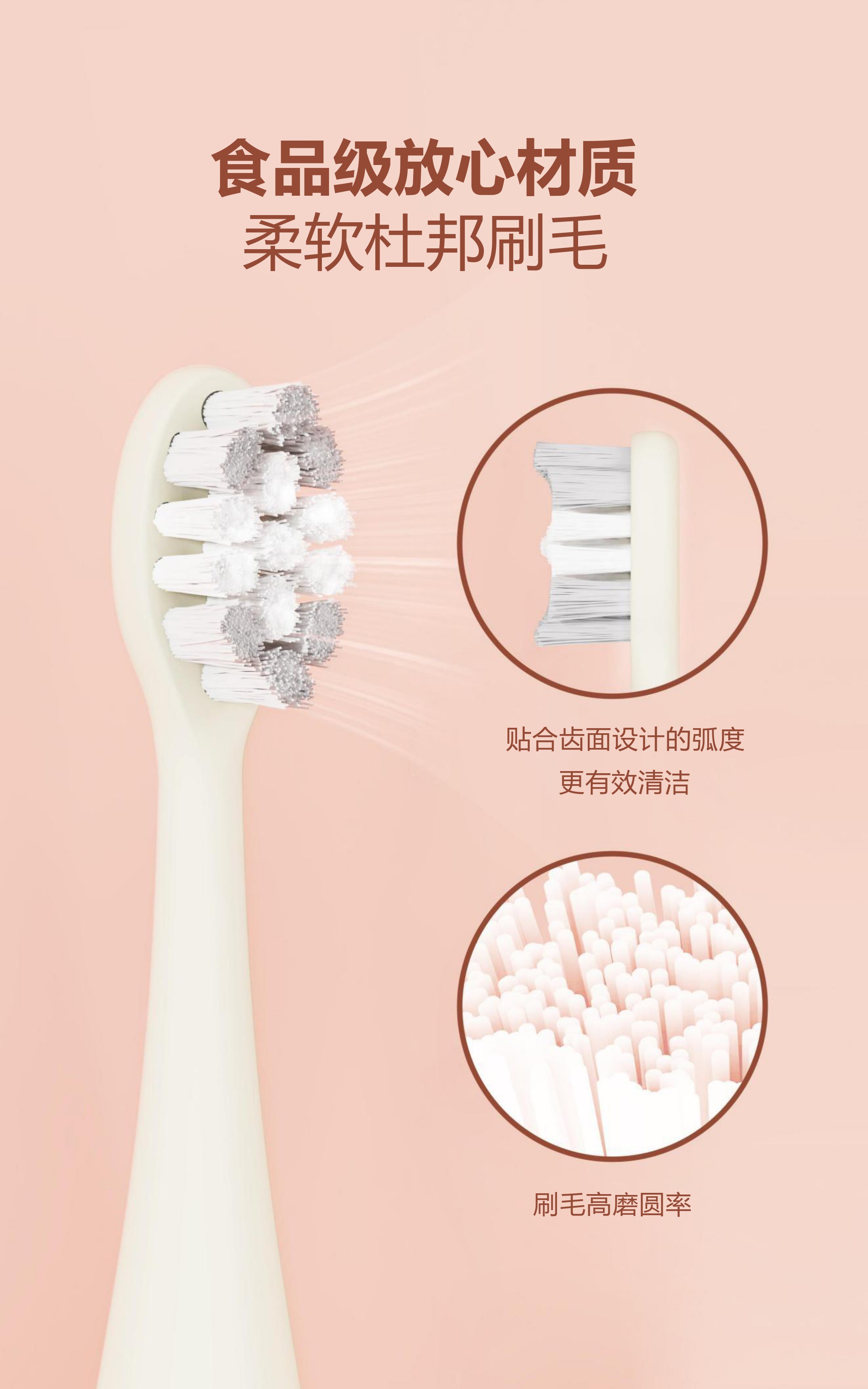 声波牙刷 OEM 服务，3 小时快速充电，2 种模式，适合敏感口腔