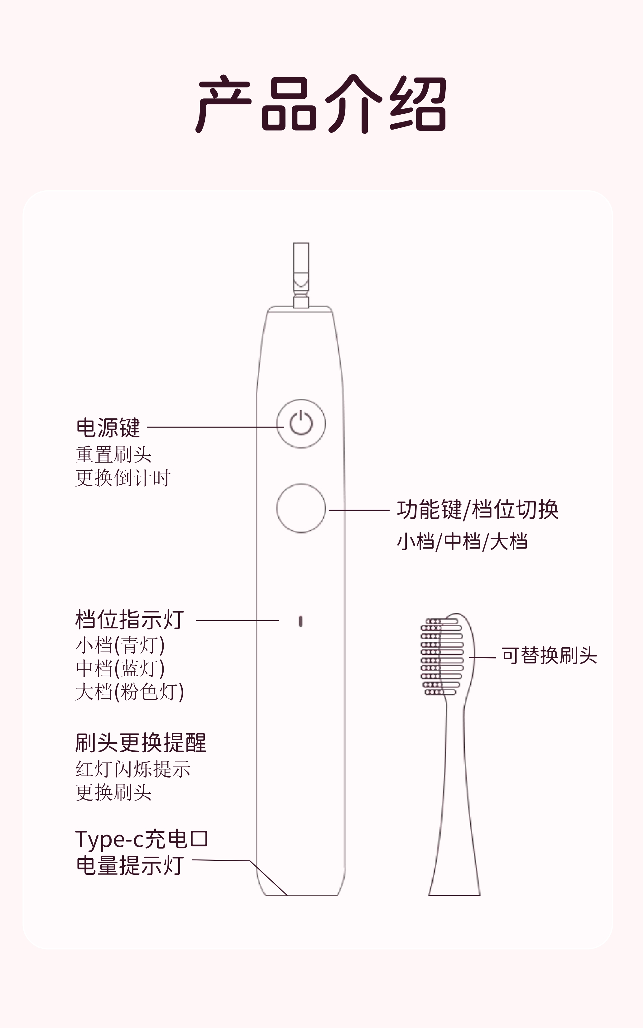 中国电动牙刷厂成人超声波牙刷 34800VPM 3 模式 IPX7 防水 AP-TA53