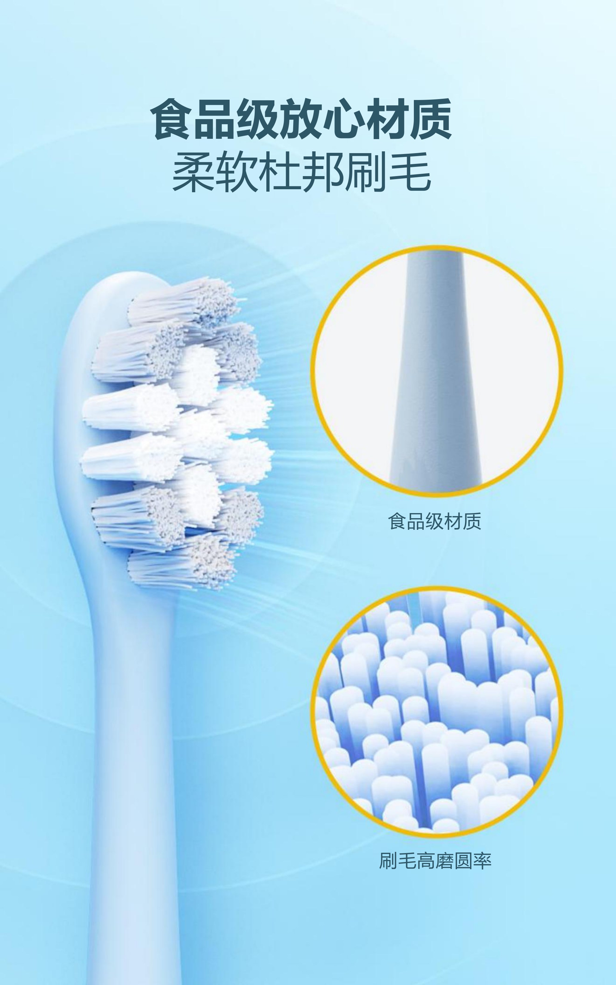 AP-TA31 声波电动牙刷，75 天电池，31,200-36,000 VPM，适合敏感牙齿